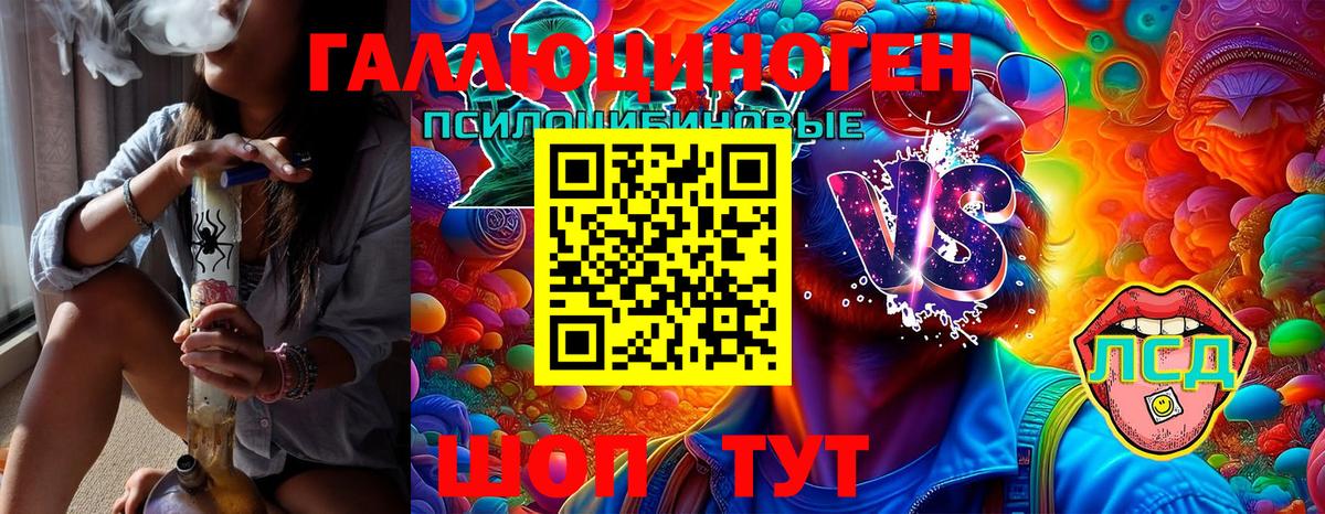 Гусь-Хрустальный  закладка  Вход с VPN  Псилоцибиновые грибы Psilocybe 